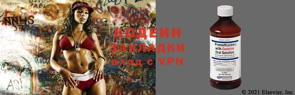 крисы Липки