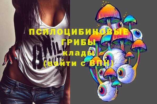шишки Лихославль