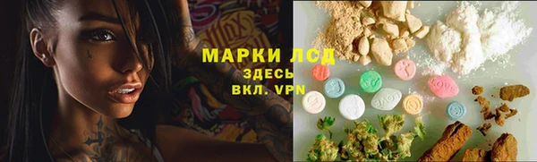 крисы Липки