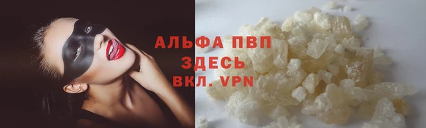 шишки Лихославль