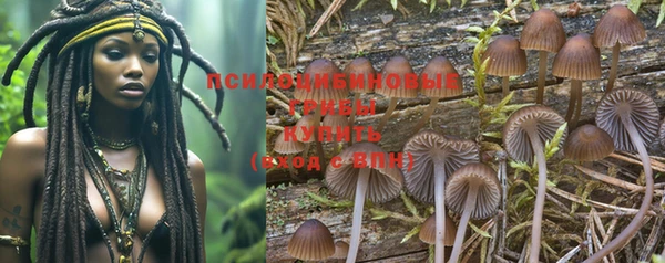 шишки Лихославль