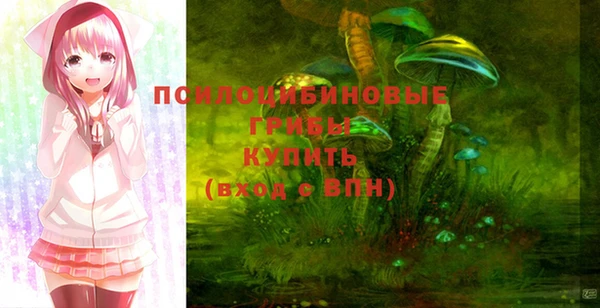 шишки Лихославль