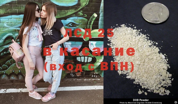 шишки Лихославль
