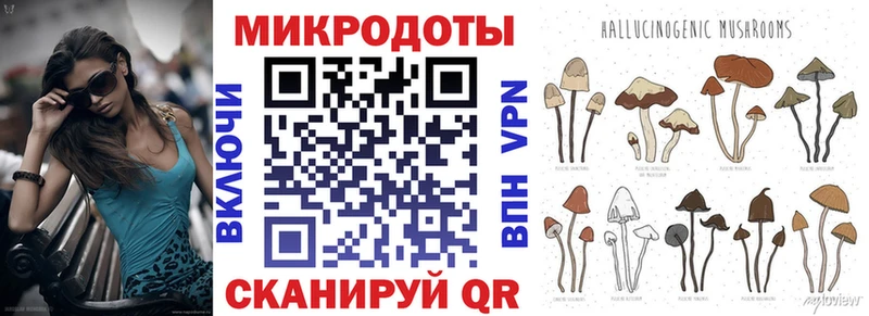 Купить где  Калязин  Псилоцибиновые грибы Cubensis 