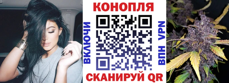 Купить где Калязин Марихуана Amnesia